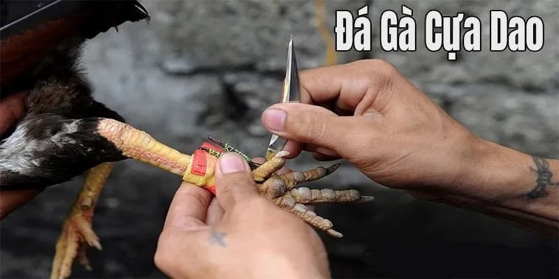 Quy tắc phân định thắng thua
